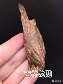 芽庄沉香的香味与特点,越南芽庄沉香特点是什么？