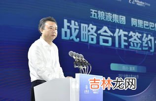 五粮液旗下有哪些品牌,五粮液旗下的酒系列排名