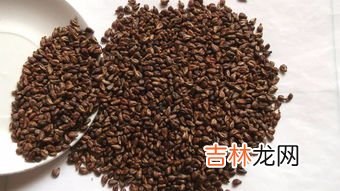 怎么吃葡萄籽,葡萄籽怎么吃