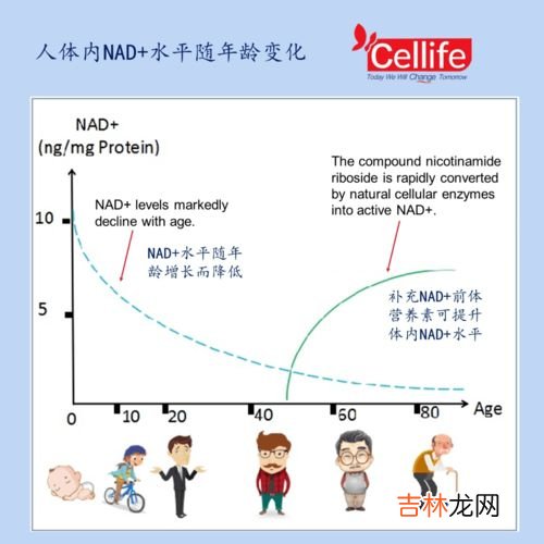 NMN有副作用吗,补充nmn副作用有哪些？我妈妈吃nmn出现副作用肌肉酸痛怎么办？