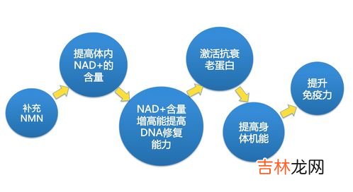 NMN有副作用吗,补充nmn副作用有哪些？我妈妈吃nmn出现副作用肌肉酸痛怎么办？