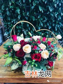 教师节送老师什么花,送老师鲜花应该送什么花