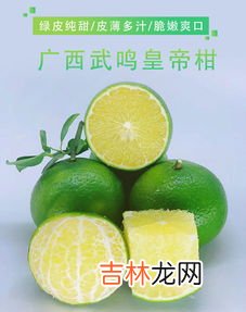 贡柑是指哪种水果,贡柑是橘子还是橙子?