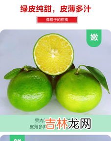 贡柑是指哪种水果,贡柑是橘子还是橙子?