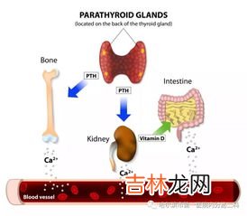 为什么手会抽筋,手脚抽筋是什么原因