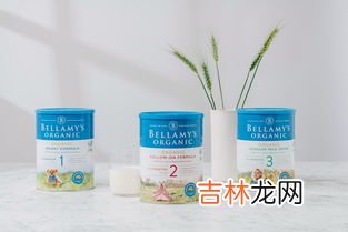 美容院奶粉品牌排行榜,配方奶粉排行榜