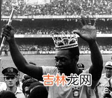 贝利谷安怎么样,贝利谷宠物益生菌怎么样