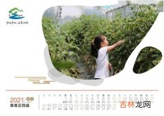 7月是盛夏吗,7月还算不算是夏天？