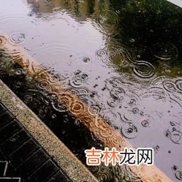 降雨百分之60会下雨吗,60%的雨有多大