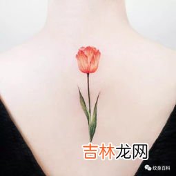 为什么说纹身的女孩脏,纹身的女孩脏吗?