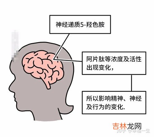 来大姨妈为什么拉肚子,女人经期容易拉肚子，哪几点或许是原因？