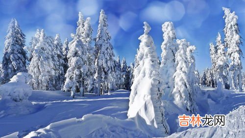 新疆冬季气温最低多少度,新疆冬天冷吗