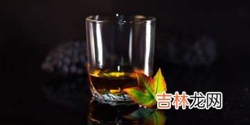 朗姆酒怎么喝,朗姆酒怎么喝比较好