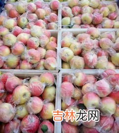 苹果冷冻和冷藏的区别,苹果在冷冻室和冷藏室的表面有什么不同