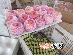 苹果冷冻和冷藏的区别,苹果在冷冻室和冷藏室的表面有什么不同