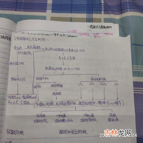 青霉素为什么会过敏,青霉素过敏是什么原因