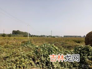 武涉县还是武陟县,武陟县名称的来历谁知道