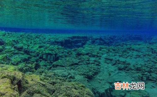 海水会结冰吗为什么,海水为什么能结冰？