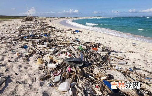 海水会结冰吗为什么,海水为什么能结冰？