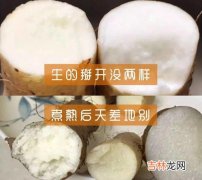 铁棍山药粉的功效和作用,山药粉有什么作用呢