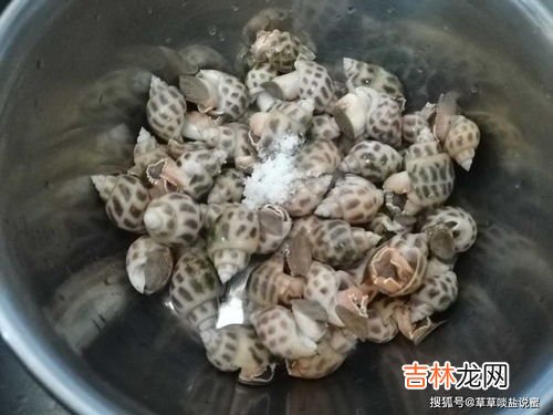 花螺白灼几分钟,白灼花螺煮几分钟窍门