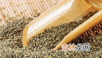 斑鸠吃大米吗,珠颈斑鸠能吃生大米吗？