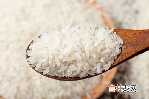 斑鸠吃大米吗,珠颈斑鸠能吃生大米吗？