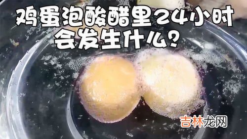 食醋中含有什么酸,食醋的主要成分是什么 食醋的功效与作用