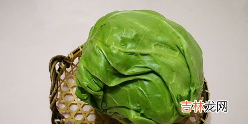 紫甘蓝和包菜有什么区别,紫甘蓝和包菜有什么区别