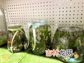 天气瓶打碎了有毒吗,家里的天气预报瓶碎了，里面是氯化铵跟硝酸钾溶液，想知道对人体会有