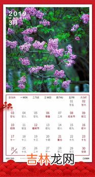 丁香花歌曲的含义,《丁香花》歌词解析