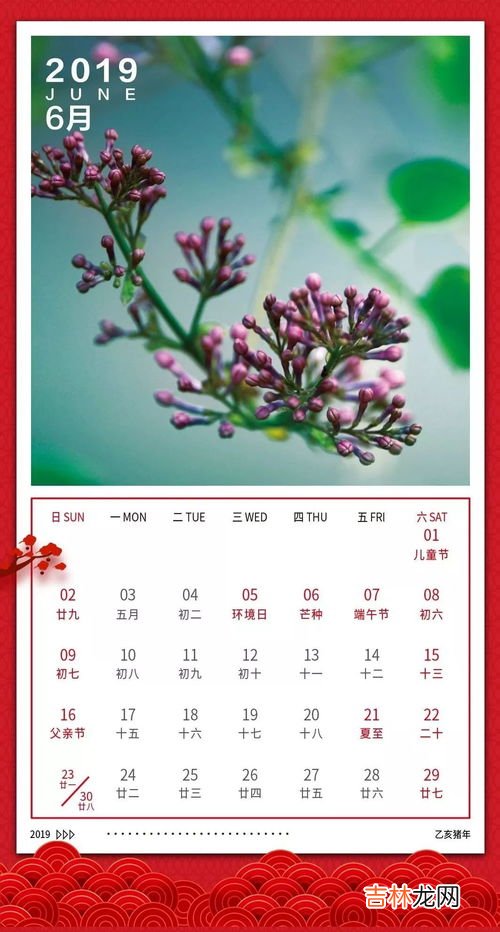 丁香花歌曲的含义,《丁香花》歌词解析