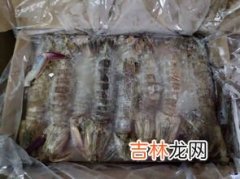 为什么皮皮虾没肉,皮皮虾没有肉是怎么回事