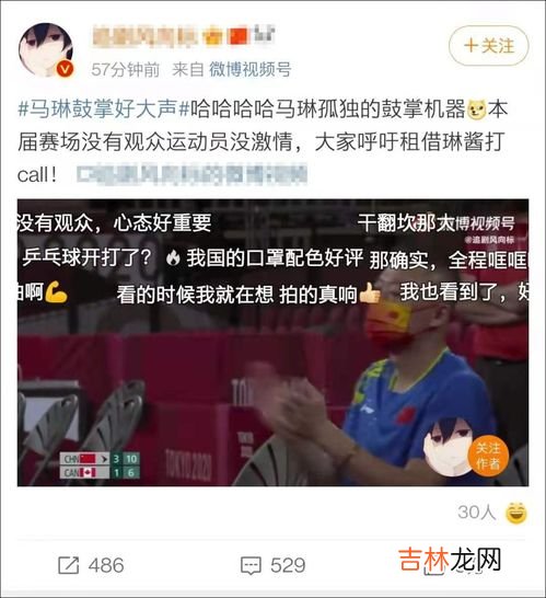 马琳为什么被罚,国乒曾做出过的最严厉处罚，一口气开除4名主力，被球迷指责偏袒