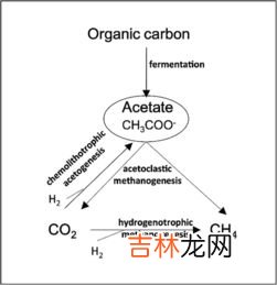 氧气作用,氧气作用 氧气的工业用途介绍