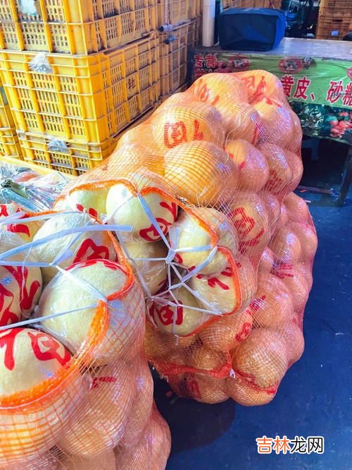 秋天是个大果盘,春天是个什么,秋天是个大果盘文中的大果盘是指什么