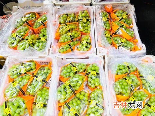 秋天是个大果盘,春天是个什么,秋天是个大果盘文中的大果盘是指什么