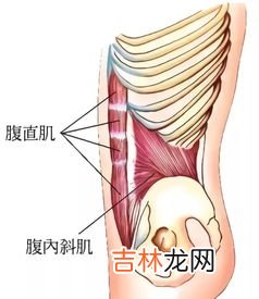 为什么仰卧起坐起不来,仰卧起坐起不来是什么原因 仰卧起坐起不来应该先练什么