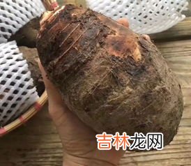 荔浦芋头怎么保存时间长,荔浦芋头能切片冷冻吗荔浦芋头怎么保存？