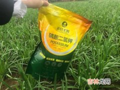 波尔多液的使用范围,什么是波尔多液？？