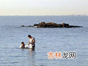 秦皇岛哪里可以赶海拾海货,秦皇岛哪里可以赶海拾海货