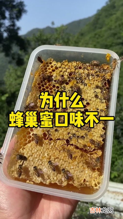 蜂巢为什么嚼不烂,蜂巢的功效与作用是什么？在食用蜂蜜时要注意些什么问题？