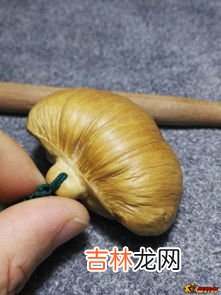 六道木是什么树,六道木是什么