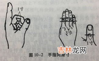 三指是几寸,2寸和3寸分别是多长？用手指怎样表示