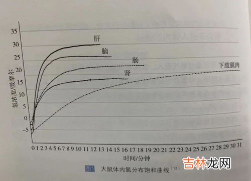 化学品进入人体的途径有哪三个,工业毒物进入人体的途径有三个