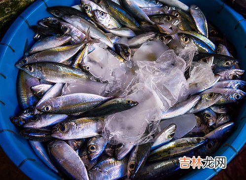 带鱼为什么用甲醛,媒体爆出“市场出现了甲醛侵泡的带鱼”，海产品真的健康吗？