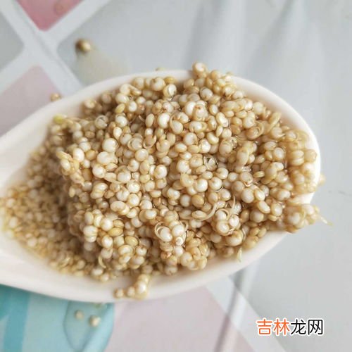 藜麦米是什么米,什么是藜麦