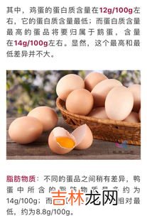 雁鹅蛋与鹅蛋的区别,大雁蛋与鸡蛋的营养区别有哪些?