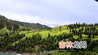 库车海拔,天山山脉的走向,海拔,山脉南麓都有哪几个城市?