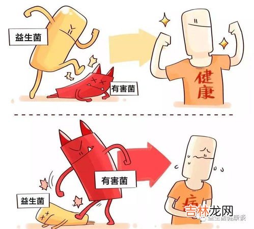 为什么最近老是拉肚子,经常拉肚子是什么原因啊？